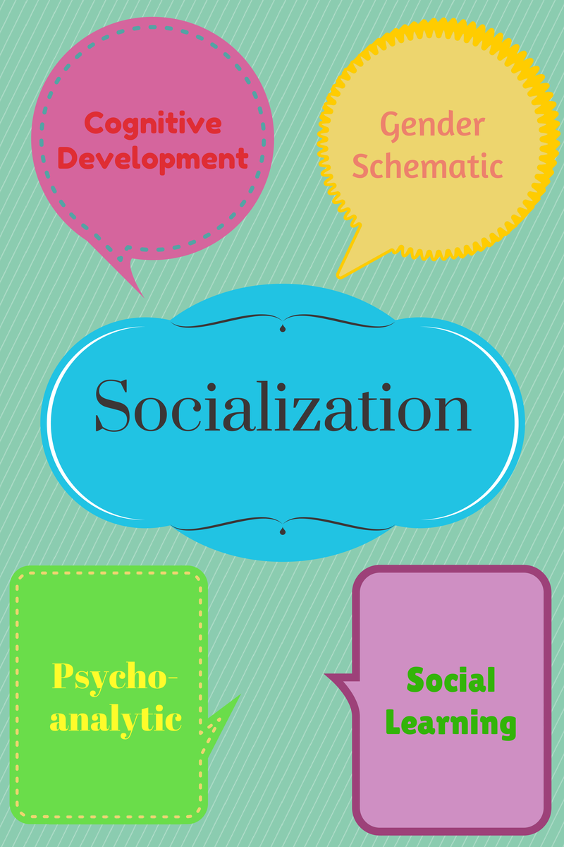 What Is Weidmans Model Of Socialization Theory